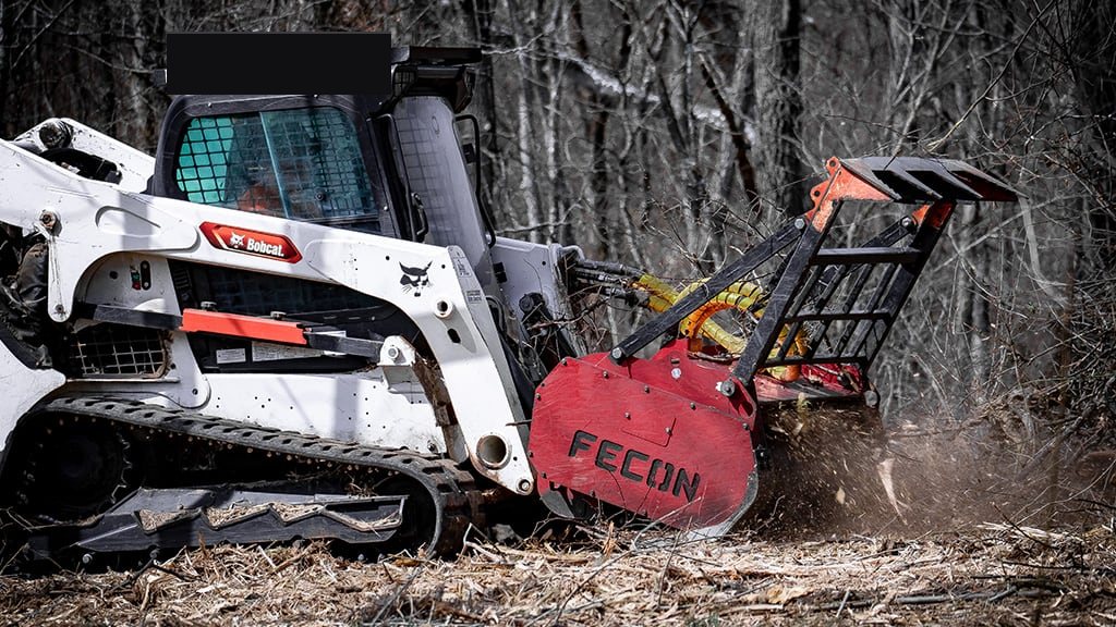 Buckthorn & Invasive Removal